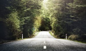 Lee más sobre el artículo El simbolismo de los caminos: Reflexiones terapéuticas con el mazo The Roads