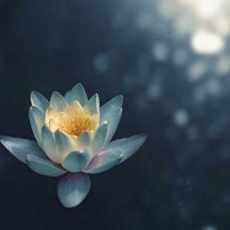 mindfulness_02